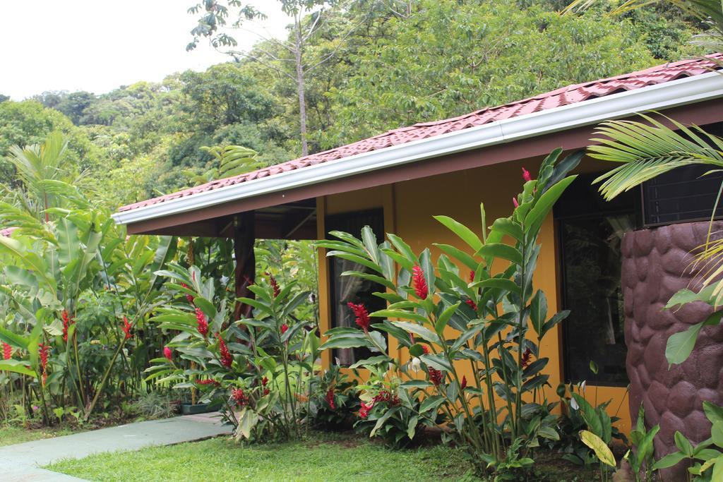 Hotel Catarata Río Celeste