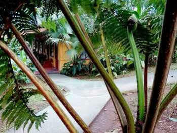 Catarata Rio Celeste Hotel 3*