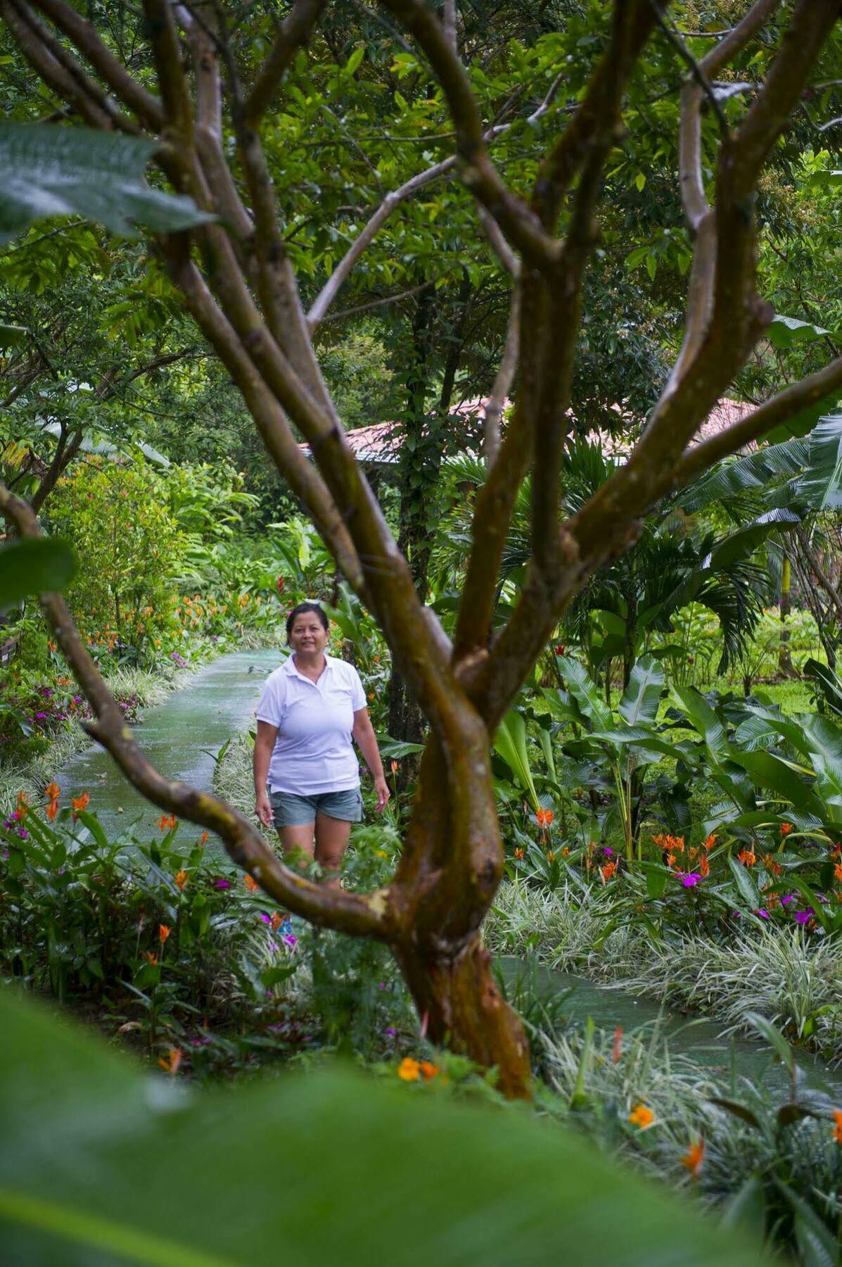 Catarata Río Celeste Hotel 3*
